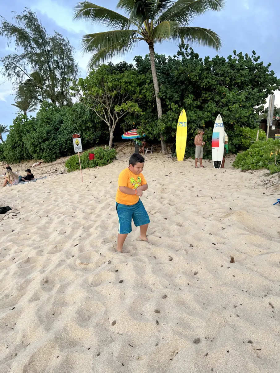 Photo 31